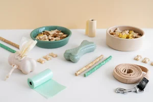 Pet first night checklist