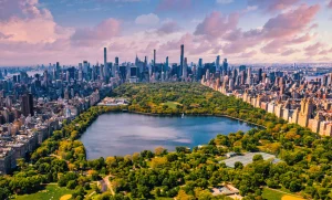 Summer in NYC