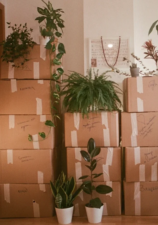 Boxes stacked for moving