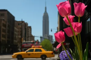 Spring in NYC