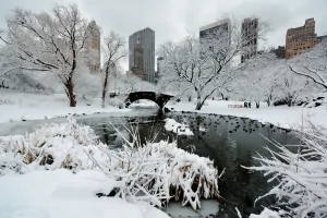 Winter in NYC