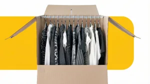 Wardrobe boxes for hanging garments